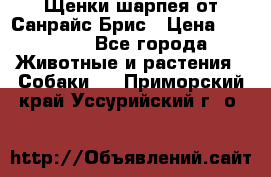 Щенки шарпея от Санрайс Брис › Цена ­ 30 000 - Все города Животные и растения » Собаки   . Приморский край,Уссурийский г. о. 